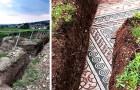Video Scoperte