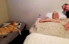 A man with cancer and his dog die within one hour of each other