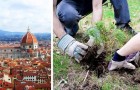 Piantare un albero per ogni vittima del Coronavirus: a Firenze un bellissimo progetto per ricordare chi non c'è più
