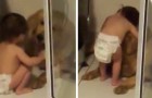 Video di Animali