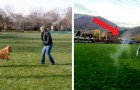 Uma mulher espalha as cinzas de seu amado cachorro em seu parque favorito: parece que a sua figura aparece na foto