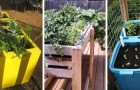 Video Giardinaggio