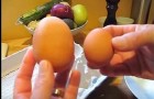 Ein außergewöhnliches und unheimliches Geheimnis verbirgt sich in diesem großen Ei