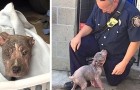 Een brandweerman redt een pup van de straat en brengt haar naar een asiel: na een paar dagen keert hij terug naar haar en besluit haar te adopteren
