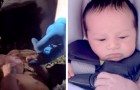 Video Neugeborenenvideos Neugeborene