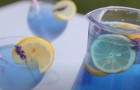 Video Gezondheid