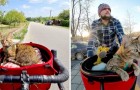 Video Video's van Katten Katten