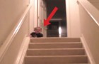Un bambino scopre il modo più veloce in assoluto per scendere le scale. Divertentissimo!
