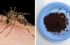 Wie man Kaffeesatz verwendet, um Stechmücken billig und natürlich fernzuhalten