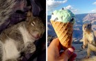 12 Bilder von Eichhörnchen, die so niedlich und trottelig sind, dass wir Lust bekommen, so zu leben wie sie