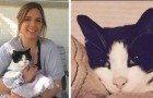 Video di Gatti