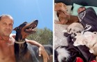 Un uomo abbandona il suo lavoro per aprire un rifugio e prendersi cura degli animali randagi dell'isola di Creta
