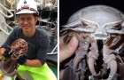 Une nouvelle espèce marine découverte en Indonésie : un 