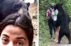 Video di Orsi