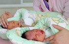 A woman gives birth to twins by two different men: one is her husband's and the other one is her lover's