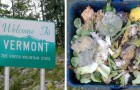 Usa: il Vermont è il primo stato al mondo a vietare lo spreco dei rifiuti compostabili nella spazzatura