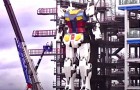 Video Robot