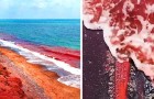 Video di Viaggi