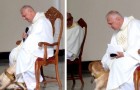 A dog enters the church during mass: the priest does not chase him away, but begins to play with him