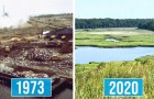 La discarica più grande di tutti i tempi è stata trasformata in un'enorme oasi verde: i rifiuti diventano combustibili
