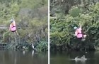 Een vrouw die aan een zipline hangt, wordt verrast door een alligator die uit het water springt om haar te bijten