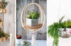 11 idee adorabili per arredare con vasi di piante appesi e portare un po' di verde in casa