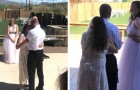 Video Matrimonio