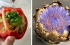 20 Beispiele, wo Obst und Gemüse zu früh keimten und ungewöhnliche Kreaturen hervorgebracht haben