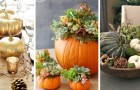 12 deliziosi centrotavola con le zucche per celebrare l'autunno con il suo frutto più amato