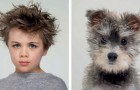 Un photographe illustre l'incroyable ressemblance entre les chiens et leurs maîtres avec de magnifiques clichés