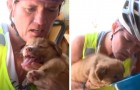 Vidéos de Sauvetages