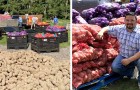 Een boer brengt vrienden en organisaties samen om 3.000 ton voedsel aan behoeftigen te bezorgen