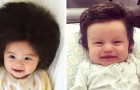 Vidéos de Cheveux