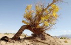 Vidéos sur la Nature