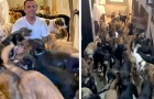 Ospita dentro casa oltre 300 cani per salvarli dalla furia di un uragano: sono tutti sani e salvi