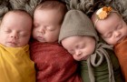 A woman becomes pregnant with quads shortly after adopting four siblings