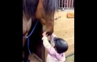 Une maman dit à sa fille de saluer le cheval, qui le fait de manière surprenante
