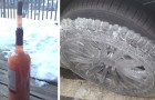 17 photos montrent que le gel n'épargne rien ni personne : elles donnent froid rien qu'en les regardant