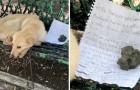 Vídeo de Cachorros