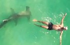 Un grosso squalo martello viene ripreso mentre nuota sotto a un uomo ignaro di tutto: il video è da brividi
