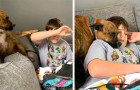 Der Hund versucht, den Online-Unterricht seines kleinen Herrchens auf jede erdenkliche Weise zu unterbrechen: Die Szene ist erheiternd