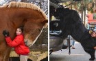 Video di Animalisti