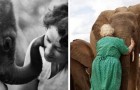 Deze vrouw zorgt al jaren voor verweesde olifanten: ze houden van haar als lid van de kudde