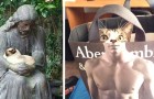 Vidéos de Chats