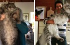 Video di Animali