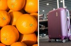 Ils mangent 31 kg d'oranges en moins de 30 minutes pour éviter de payer un excédent de poids des bagages à l'aéroport