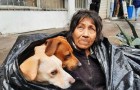 Een oudere dakloze vrouw leeft liever op straat dan in een opvangcentrum: ze wil geen afstand doen van haar geliefde honden 
