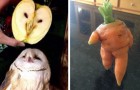 15 persone hanno immortalato frutta e verdura dall’aspetto così strano che sembrano aver preso vita