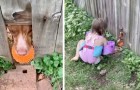 Video de Perros