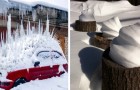 Video Naturvideos Natur